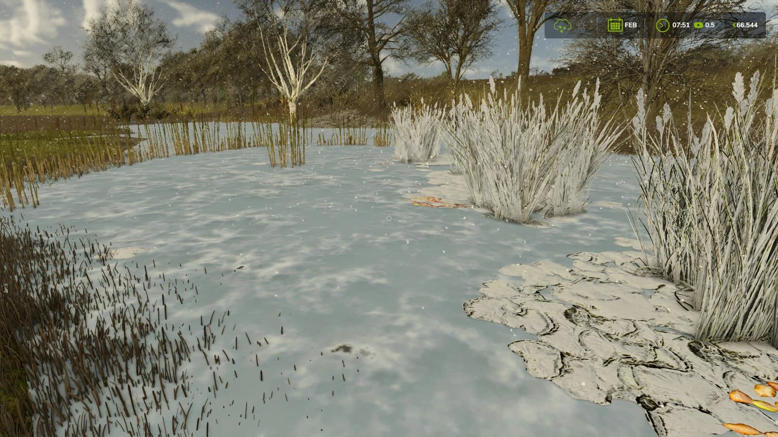 Natural Waterplants 2