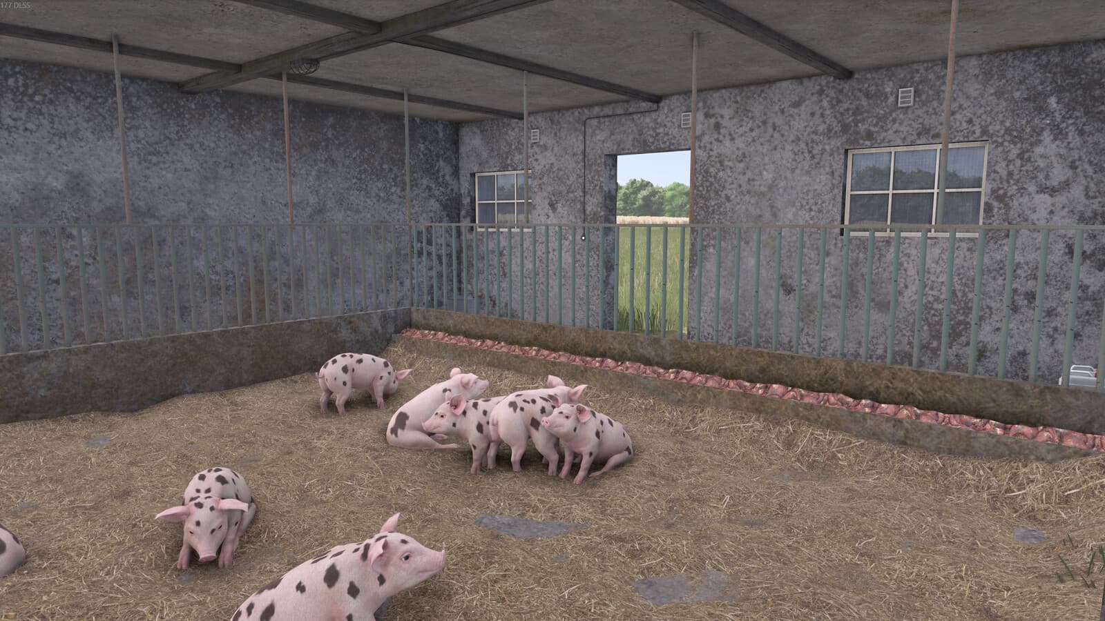 Old Cattle And Pig Barn 4