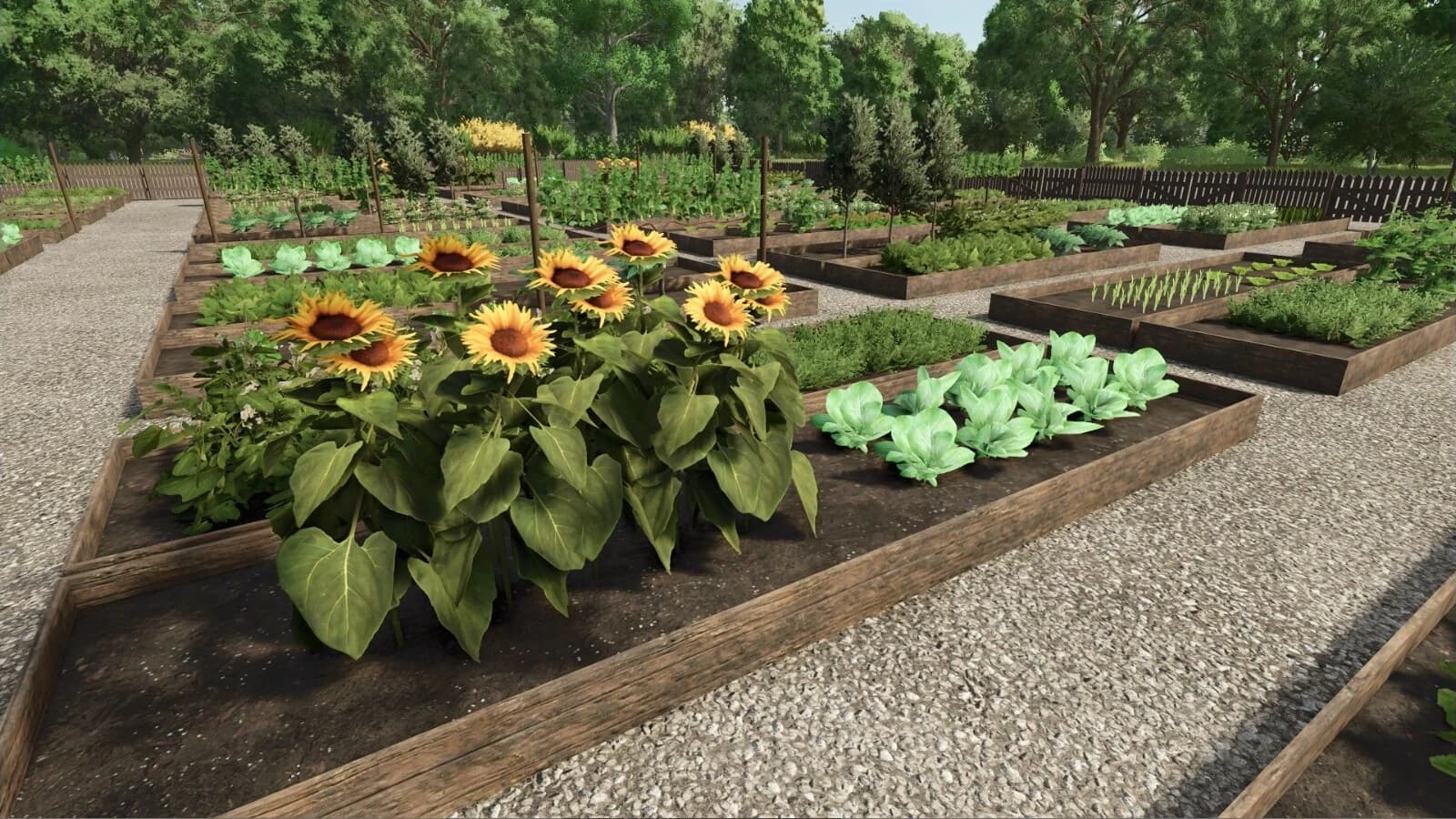 Open Air Garden 2