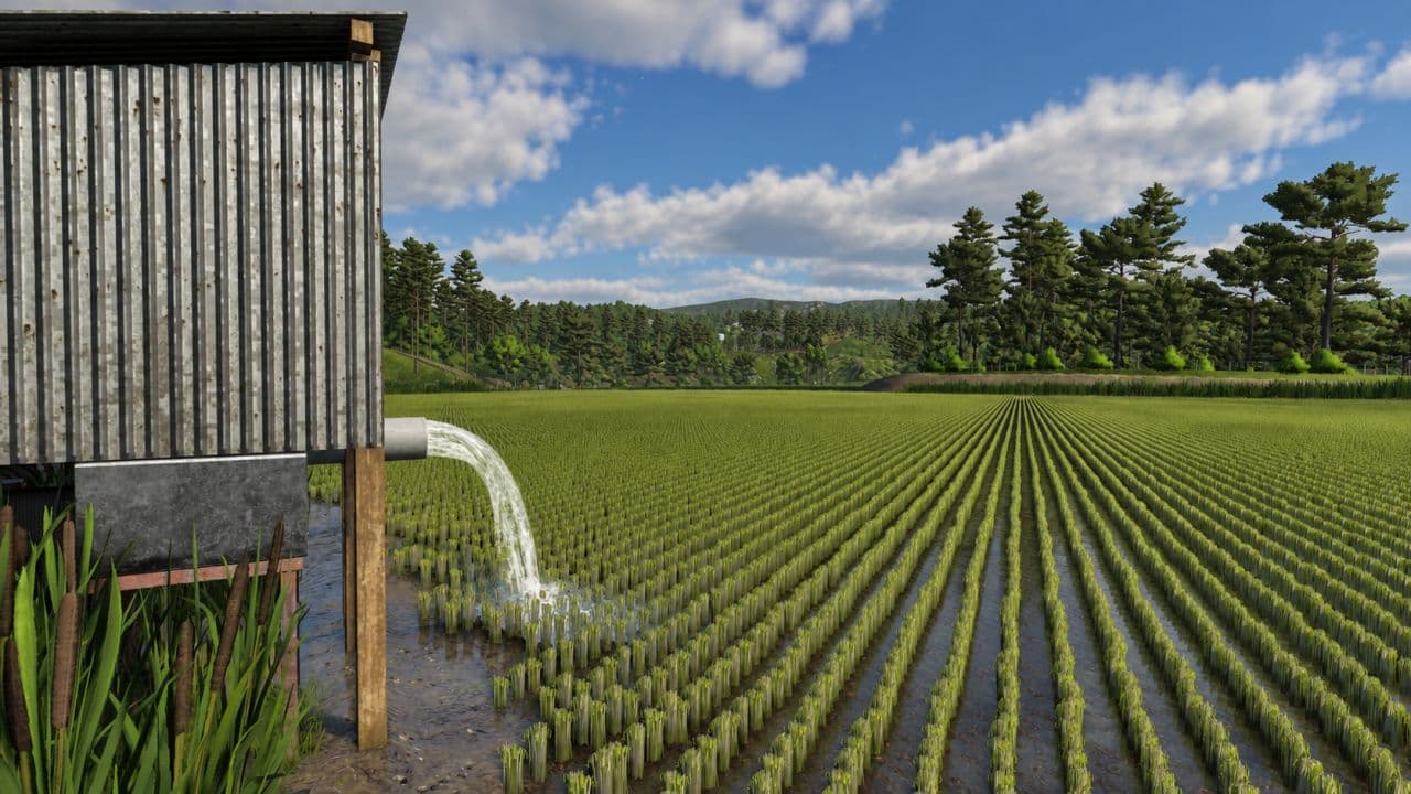 Rice Field Control 2