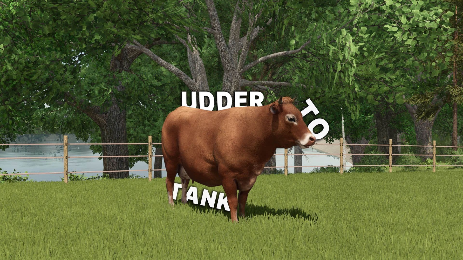 Udder to Tank