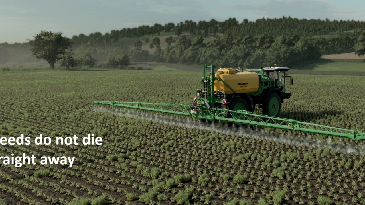 Volunteer Crops and Weeds