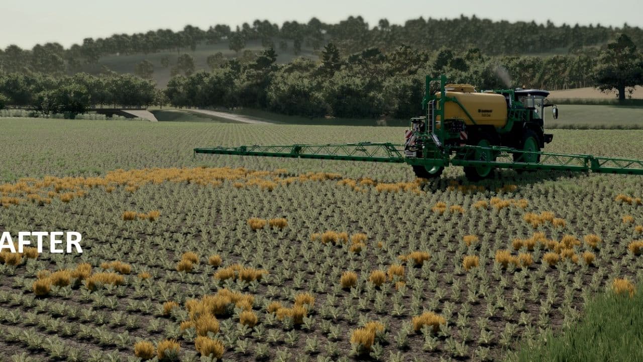 Volunteer Crops and Weeds 6