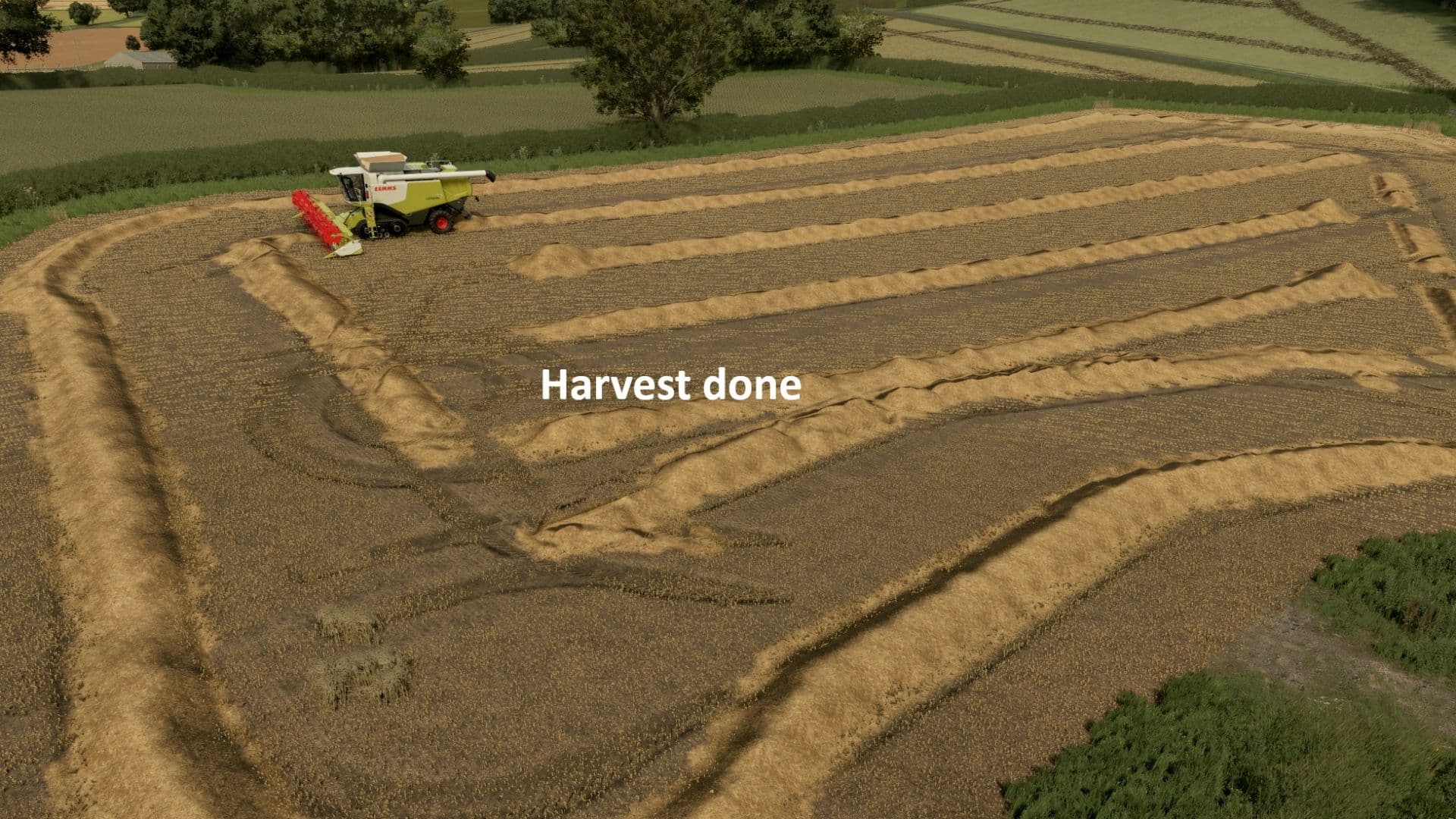 Volunteer Crops and Weeds 5