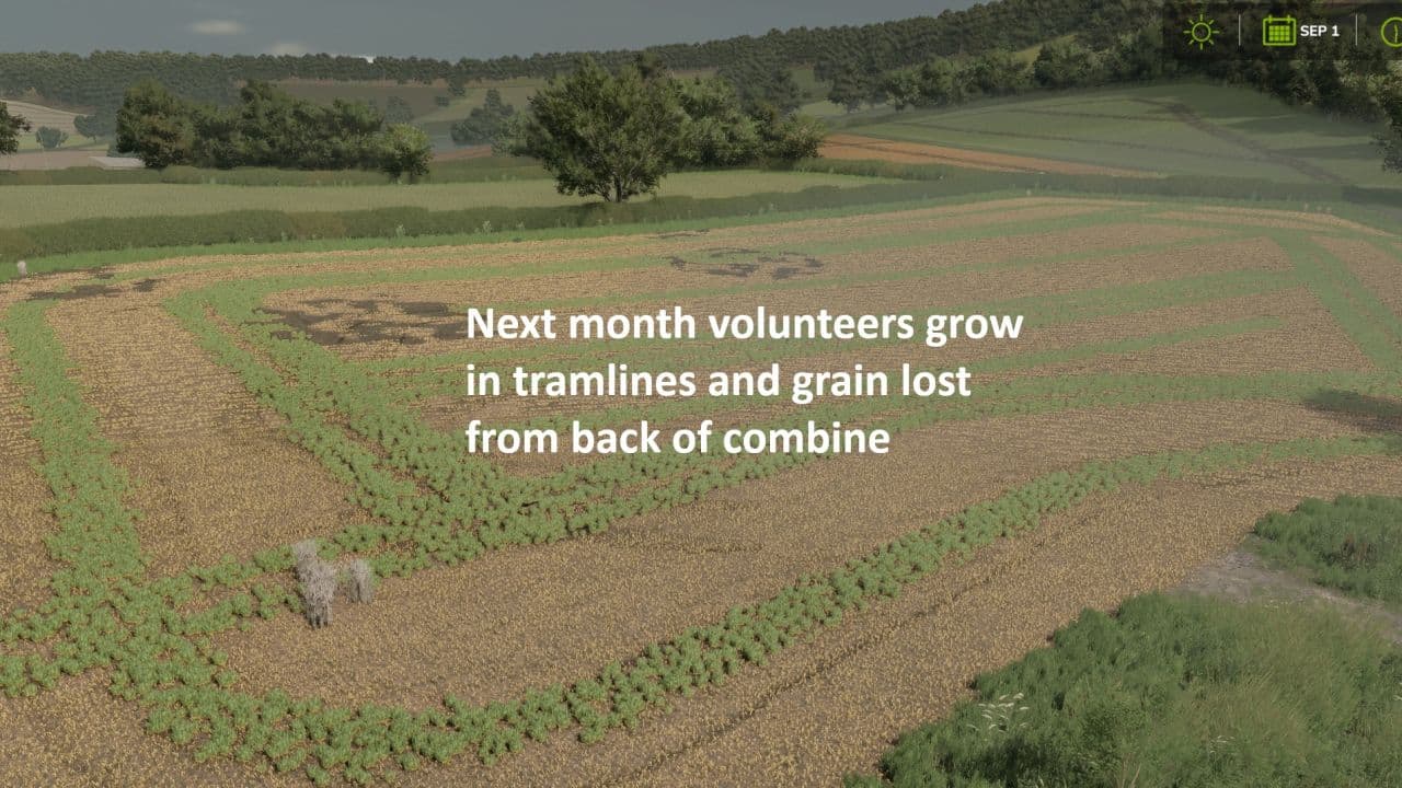 Volunteer Crops and Weeds 4