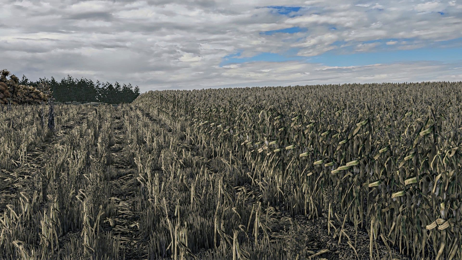 Corn Texture New Gen