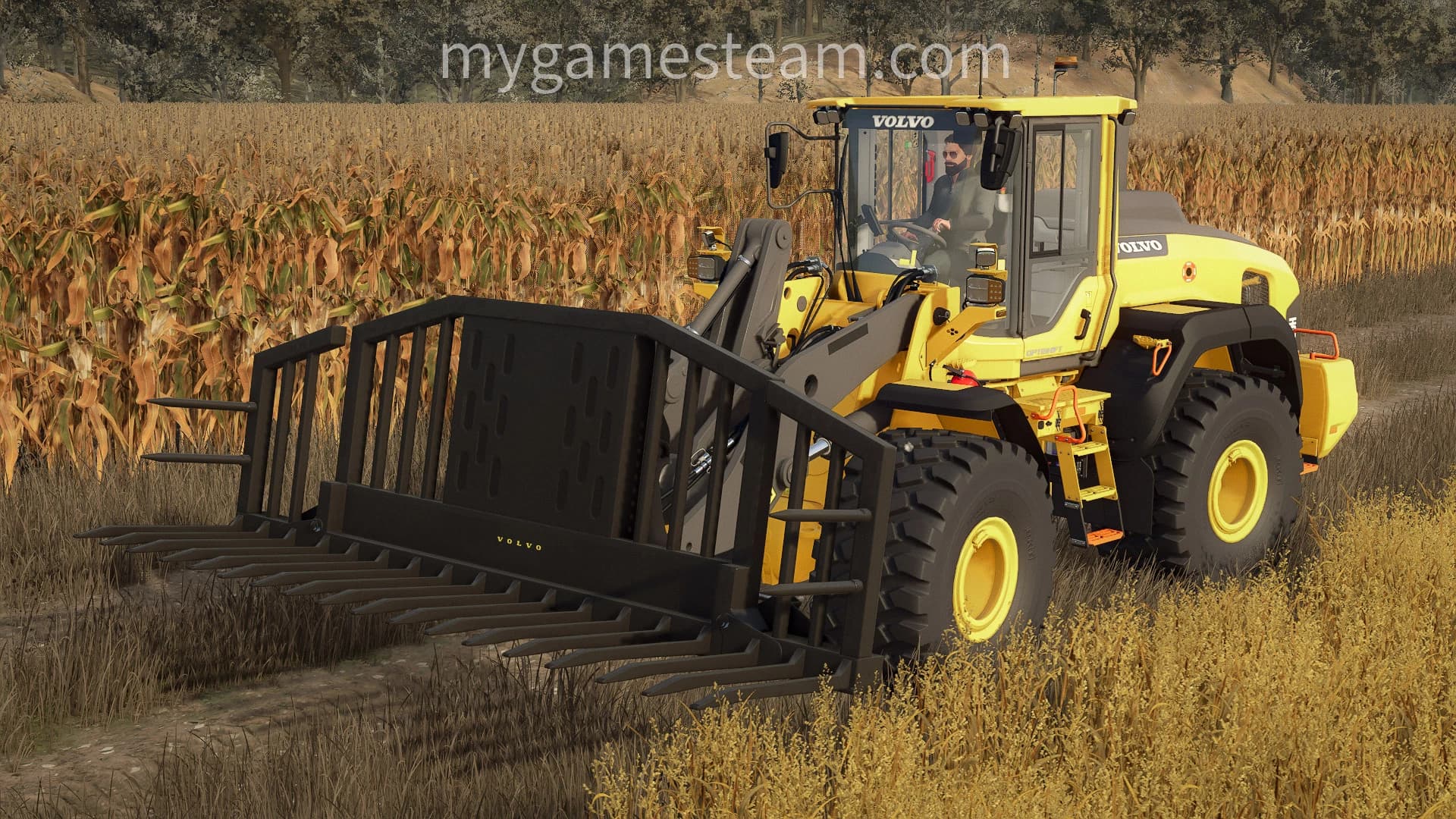 Silage Fork