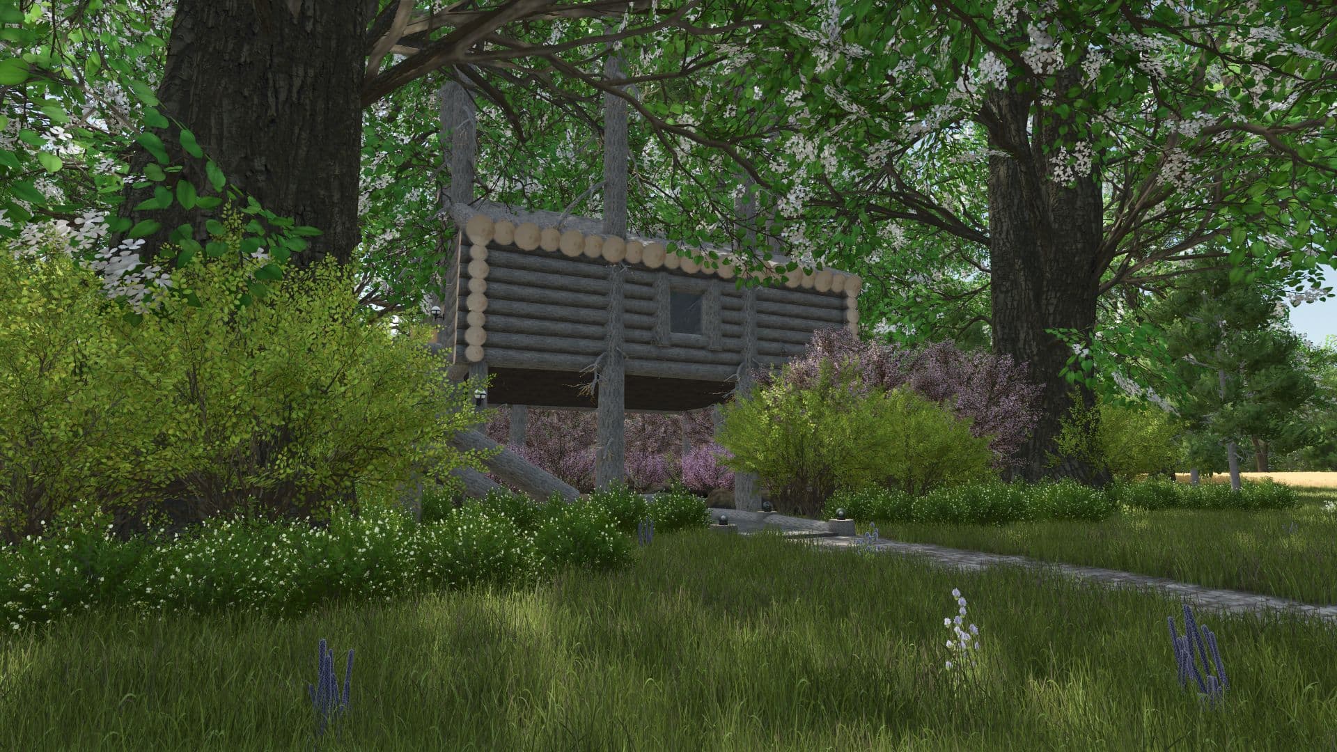 Tree house