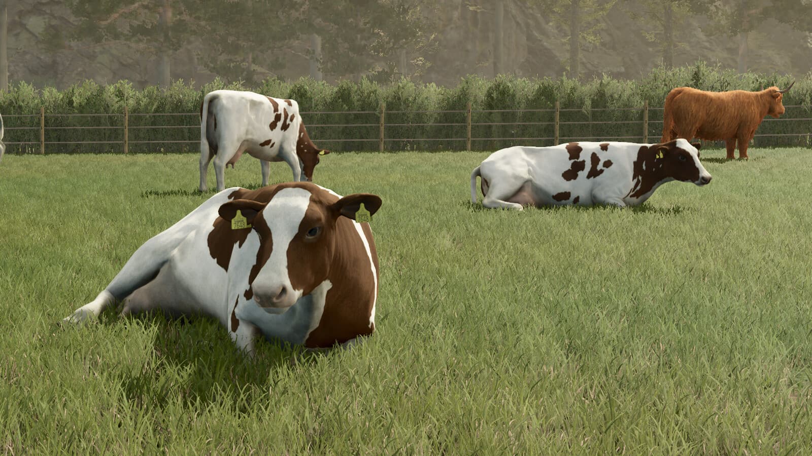 Animal Package Vanilla Edition