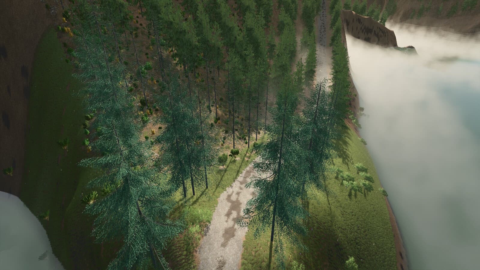 Blue Island Forest