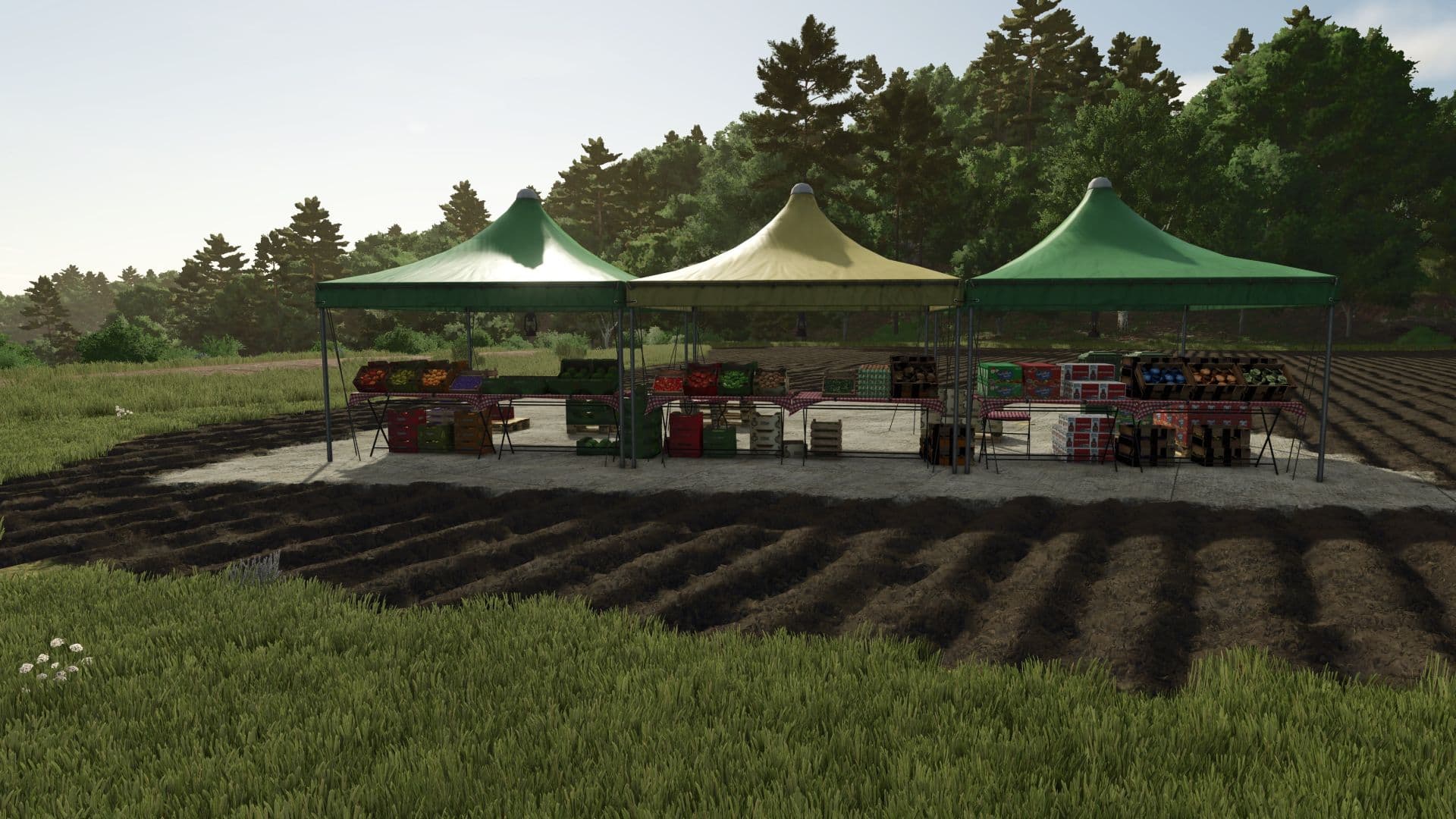 Farm Market