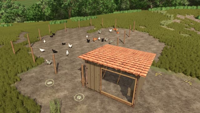 Open Chicken Coop