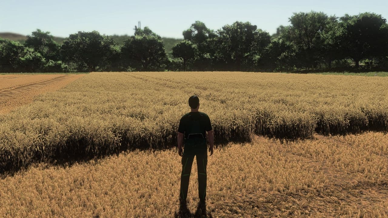 Realistic Wheat & Barley - Europe Growth Cycle