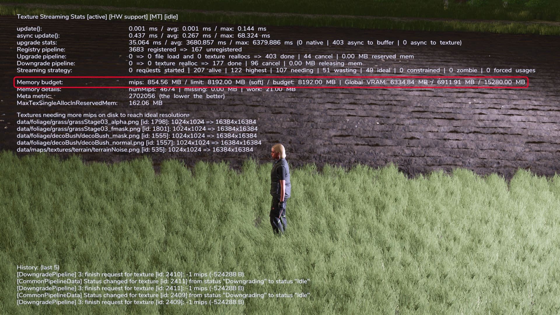 Texture Streaming Budget 200% (8GB)