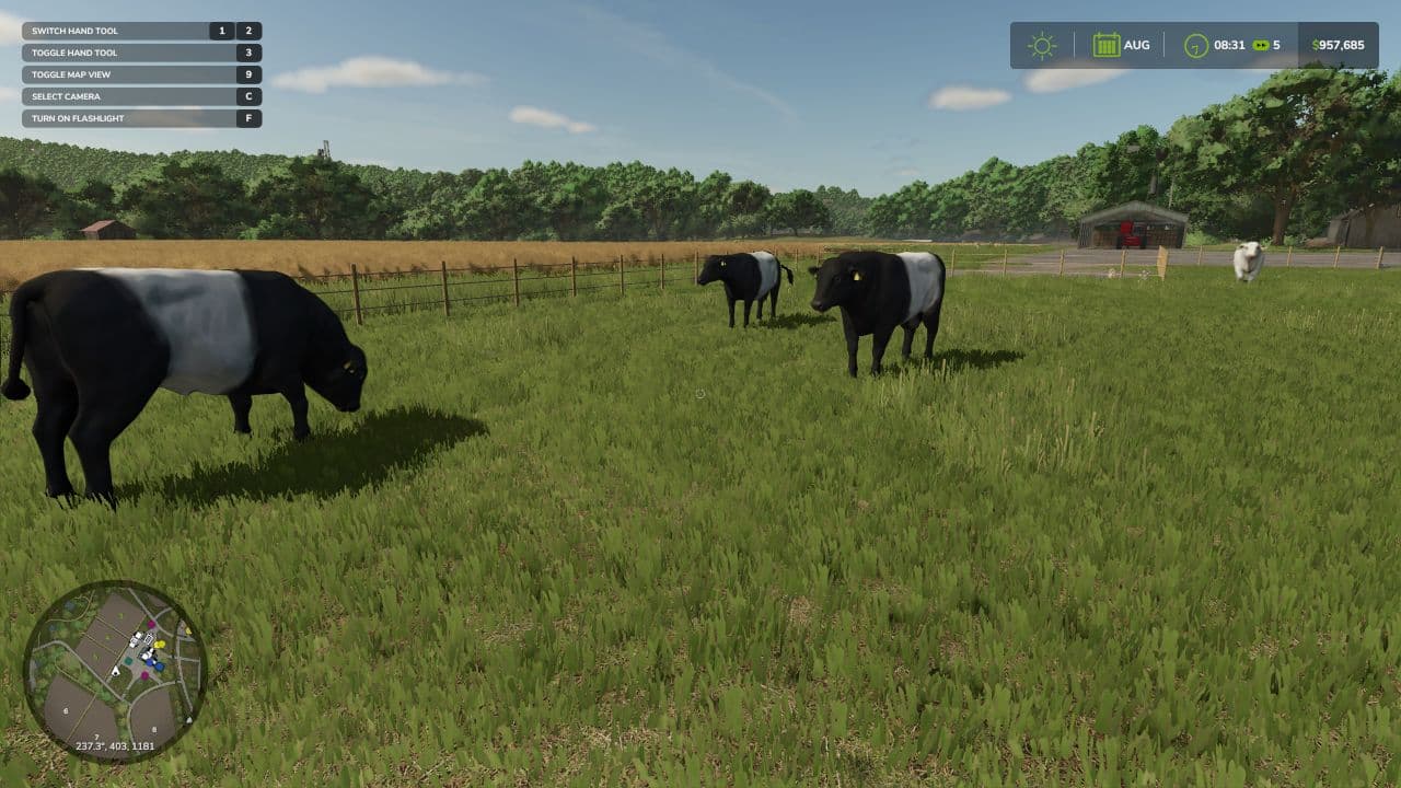 Animal pack - More Cattle Breeds Edition
