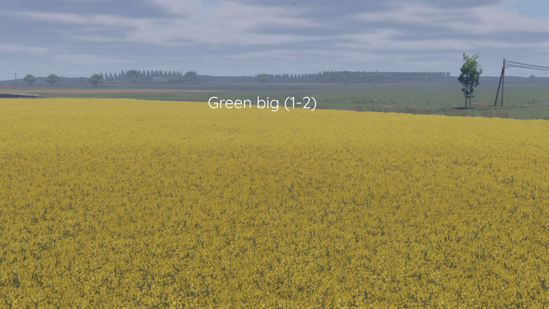 Better canola texture