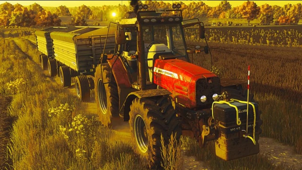 Massey Ferguson 6400 Series (IC)