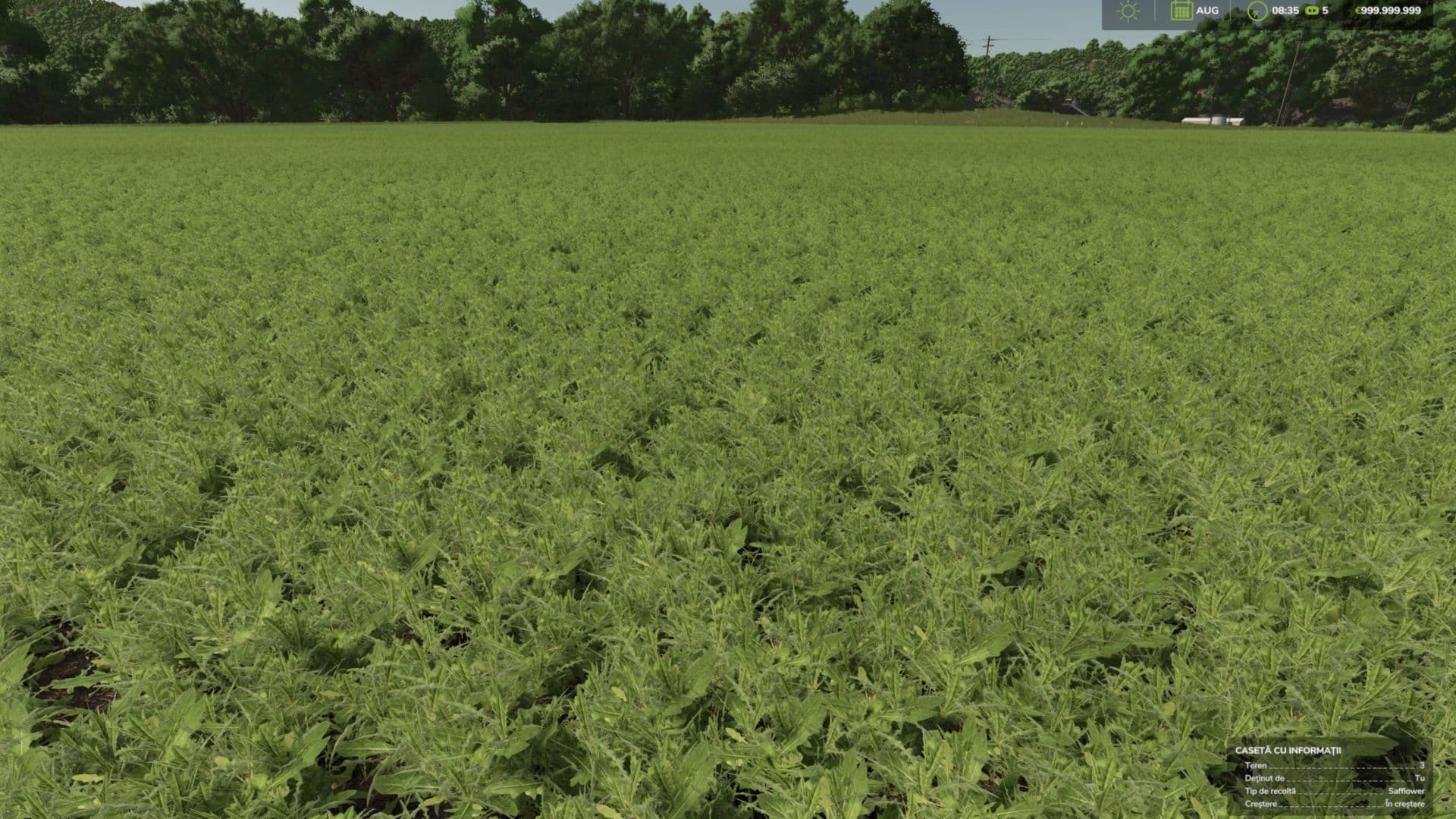 Safflower (Prefab)