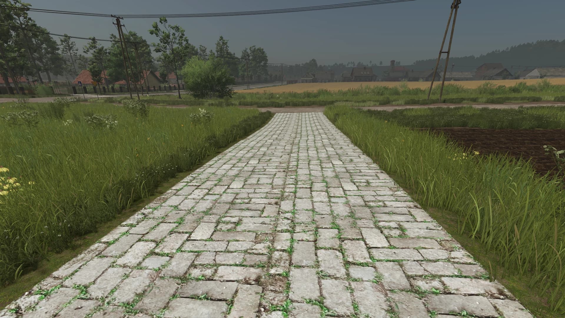 Asphalt and Paved Roads
