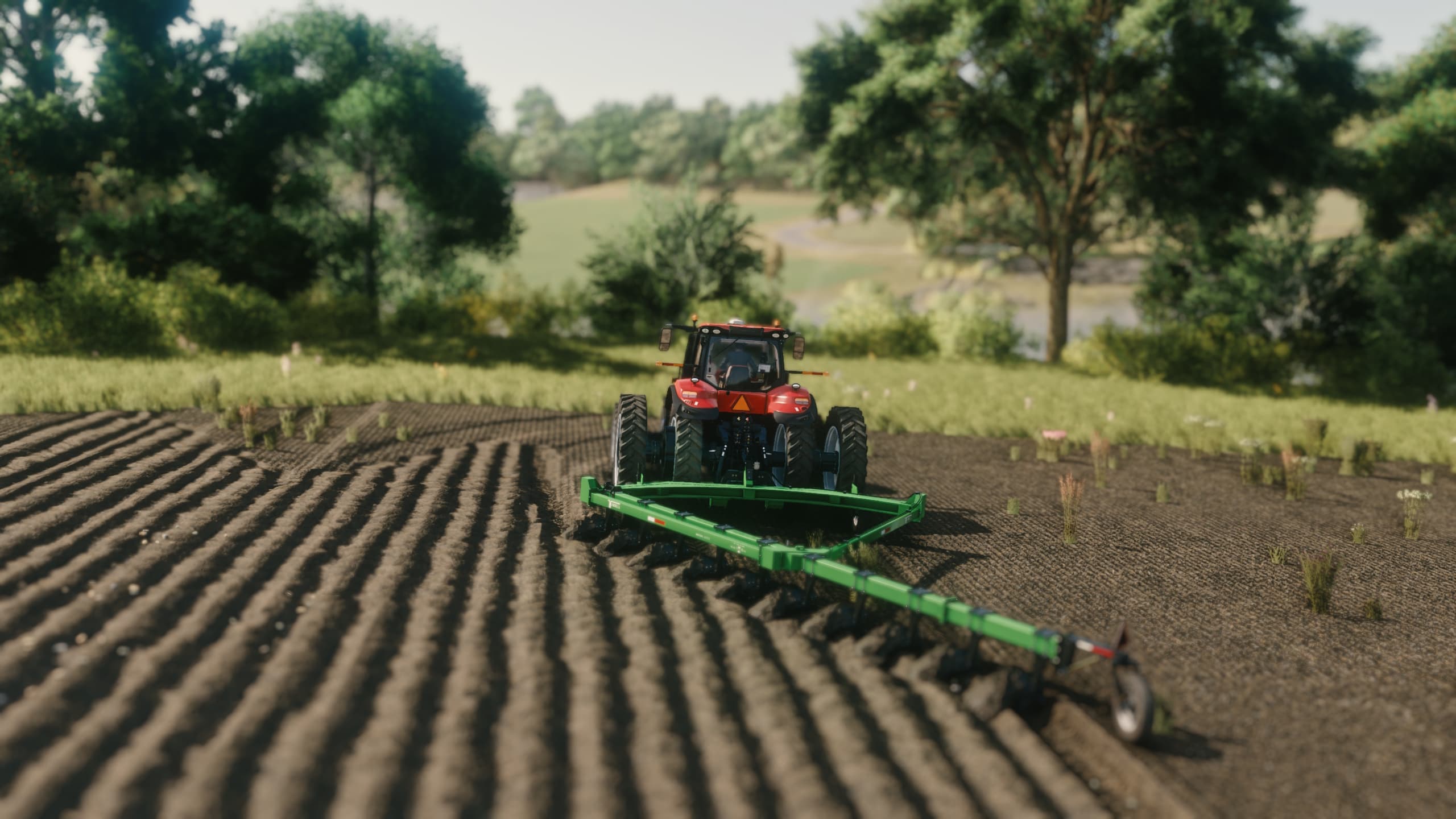 Harrell 10 bottom on Land Switch Plow