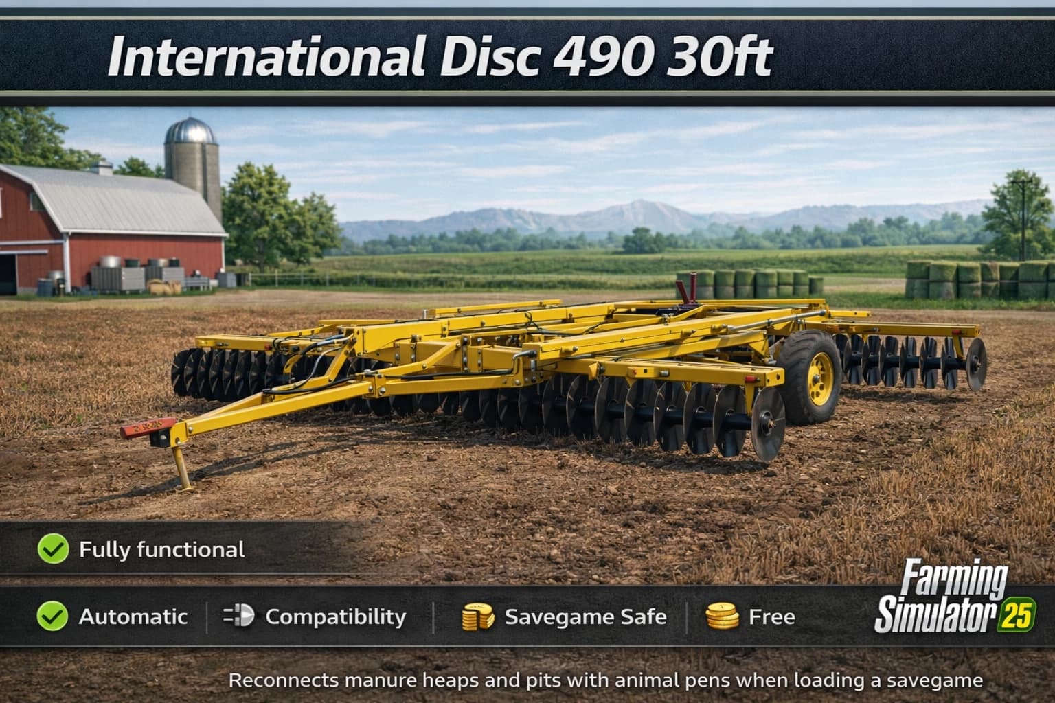 International Disc 490 30ft