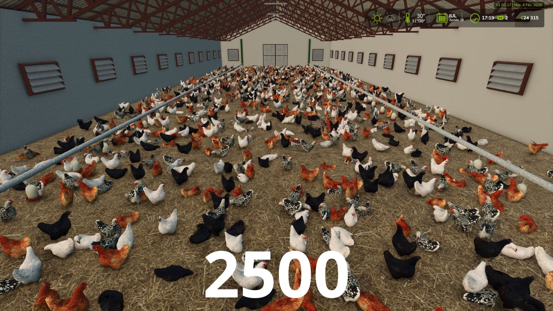 More visual animals
