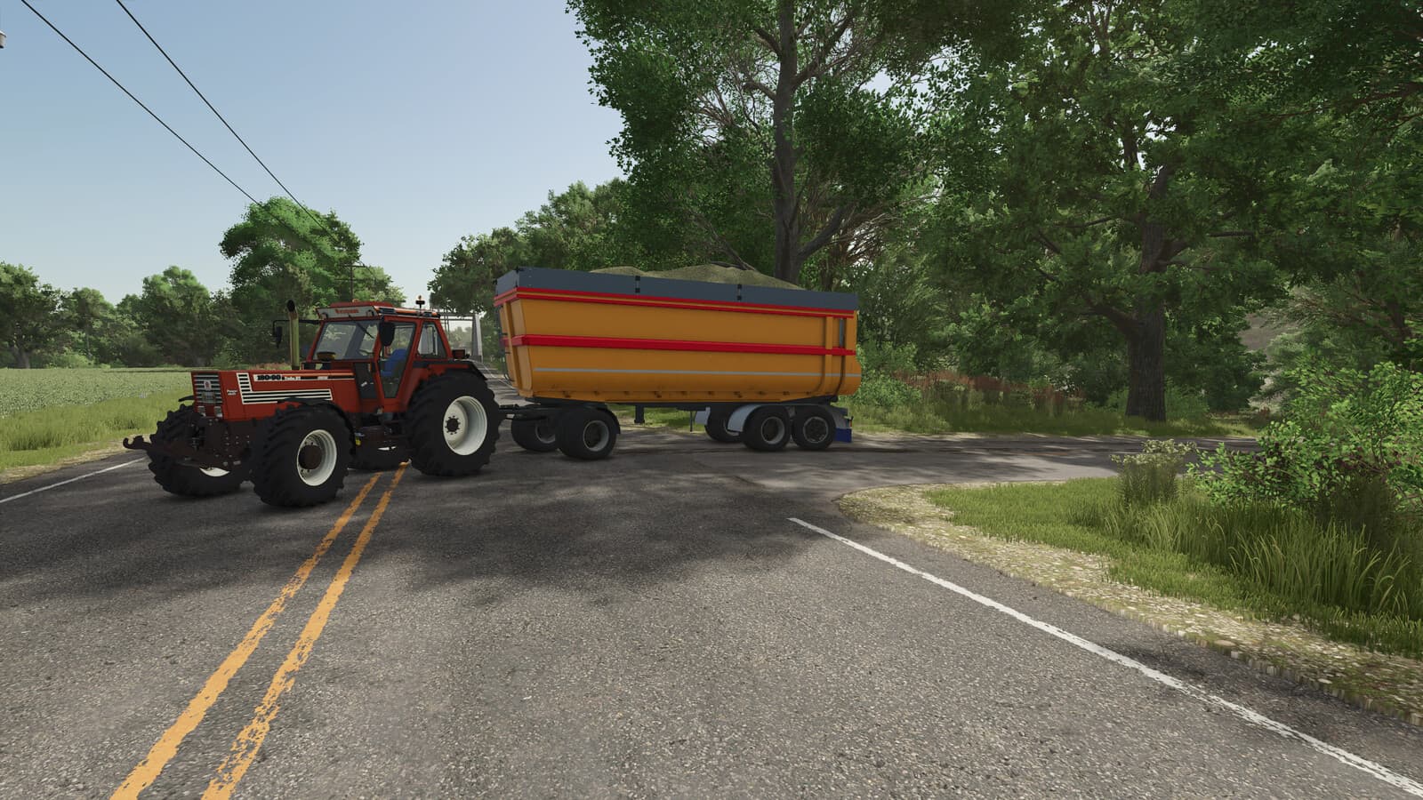 Lizard 25R4N
