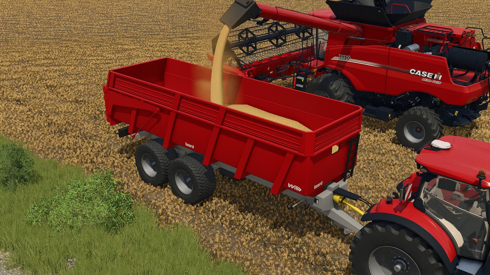 Lizard BB18B And BB24TRD