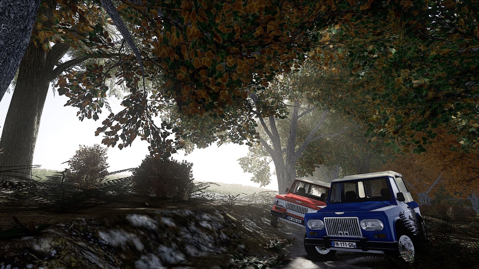 Portaro 4x4