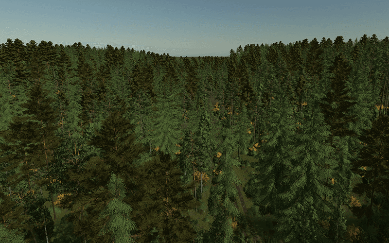 Back Roads County Forestry Edition 4x