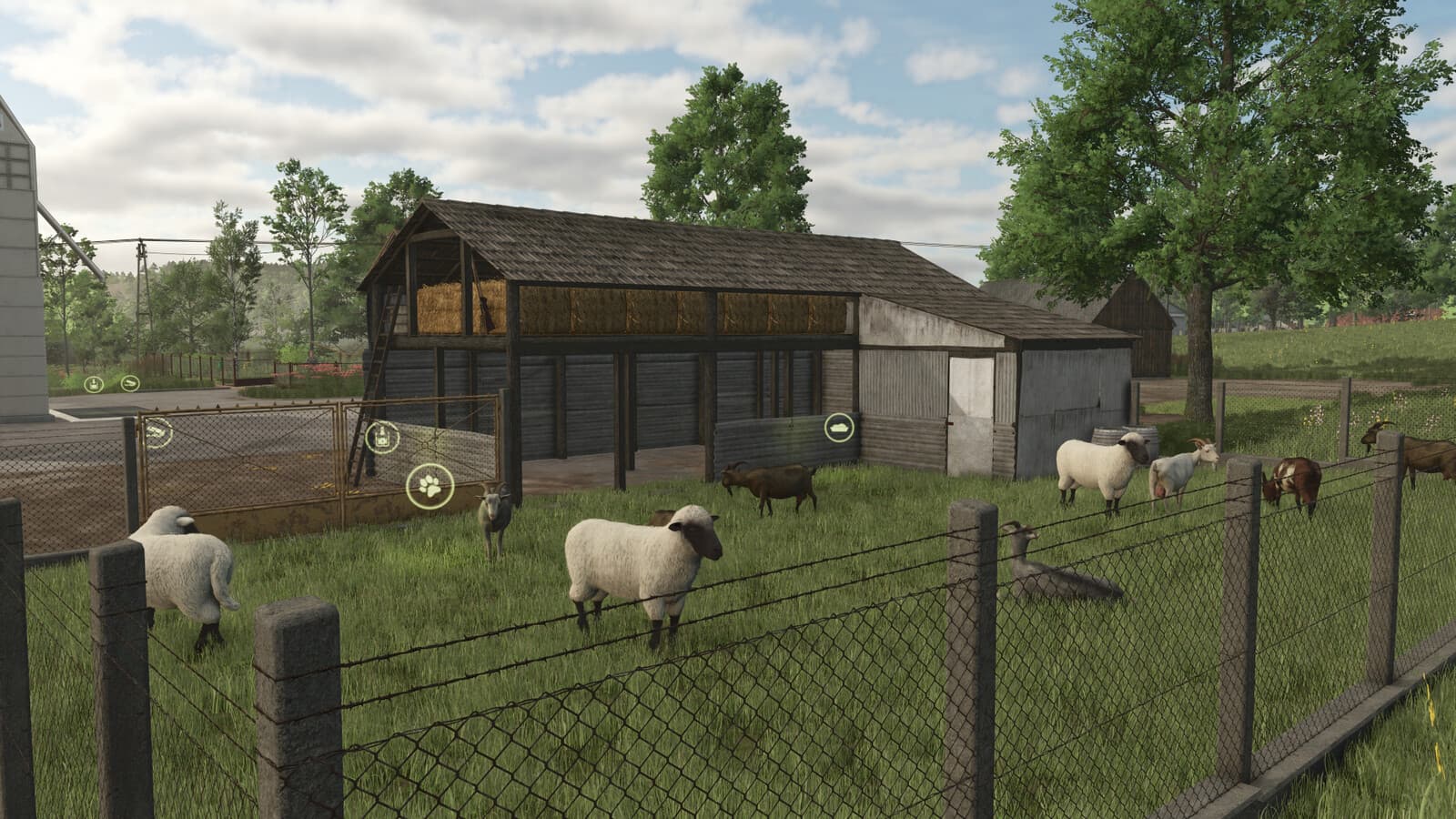 Shabby Sheep Barn