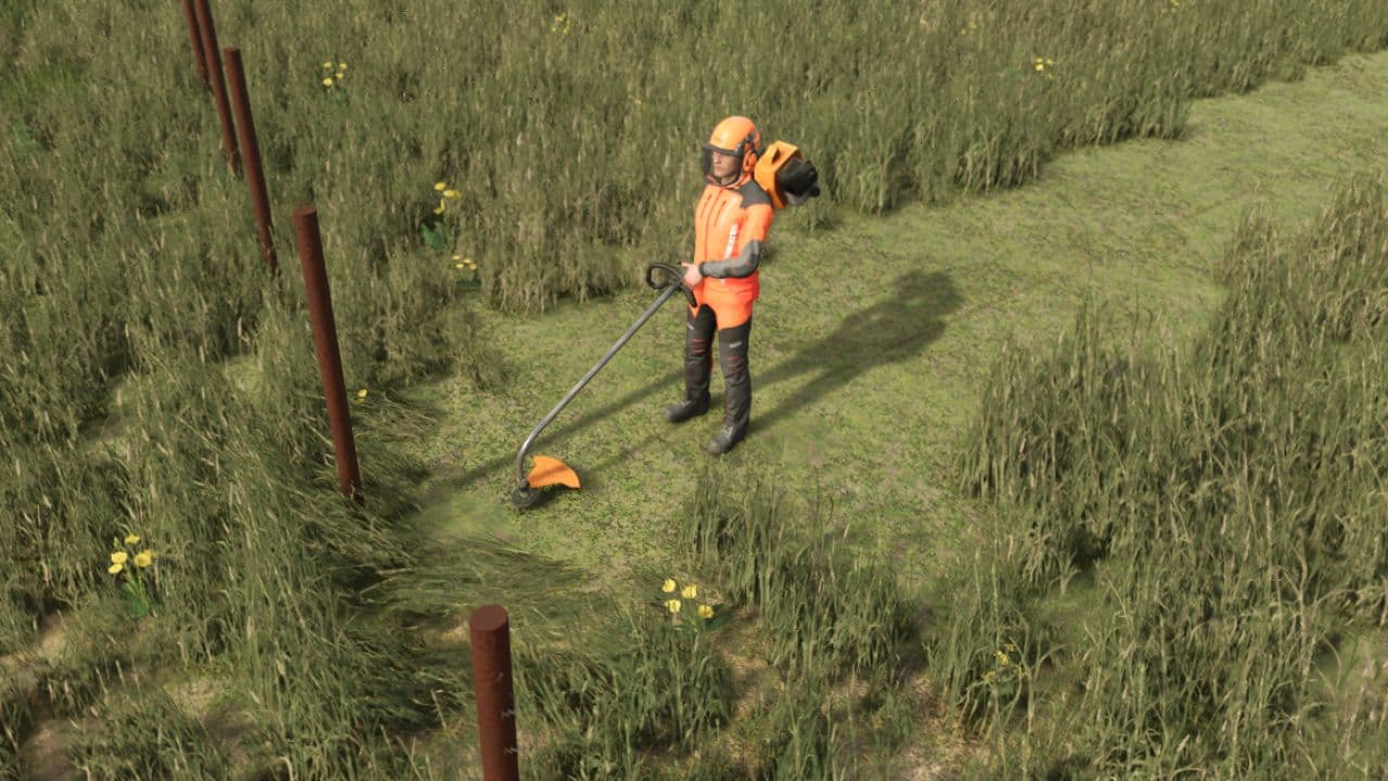 Stihl Weed Trimmer