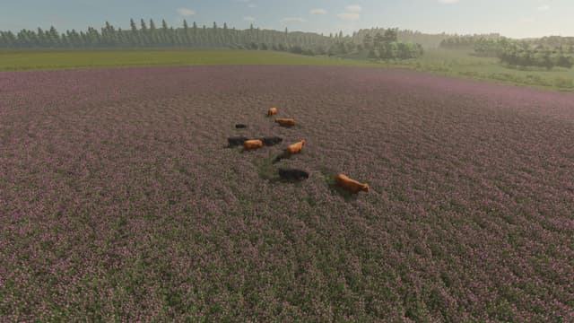 Animal Pests