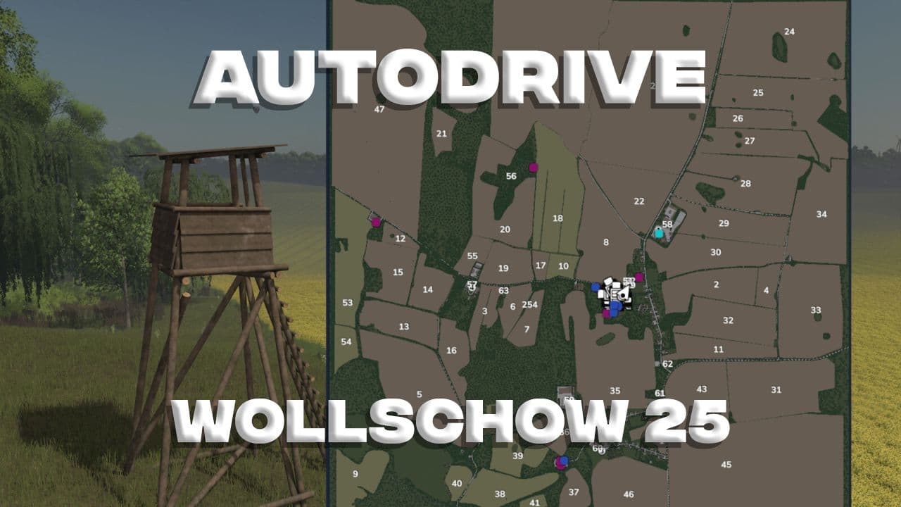 Autodrive Wollschow 25