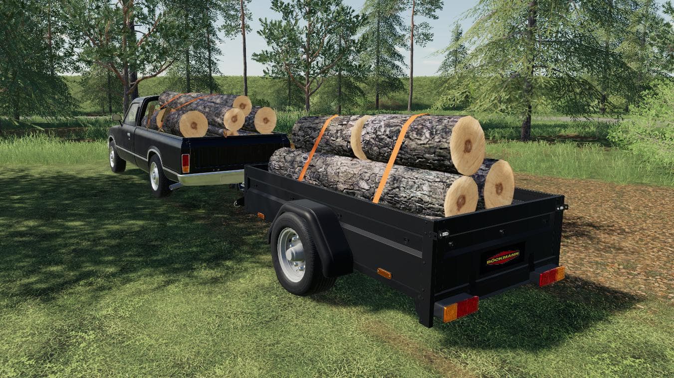 Boeckmann Car Trailer
