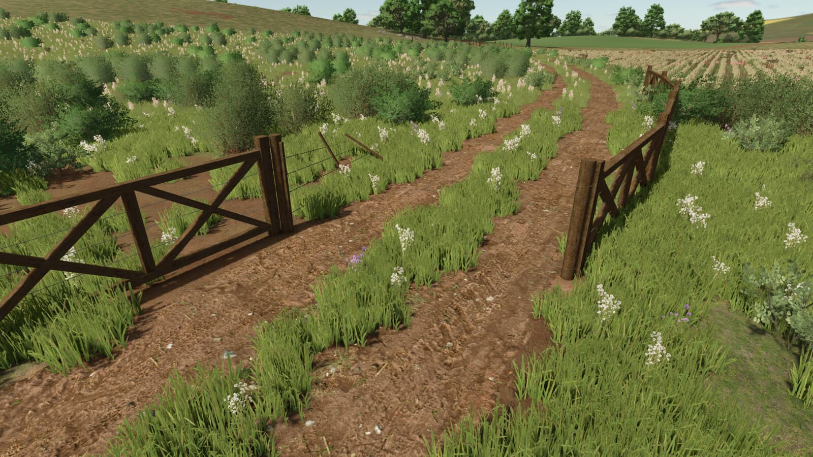 Brazilian Fences