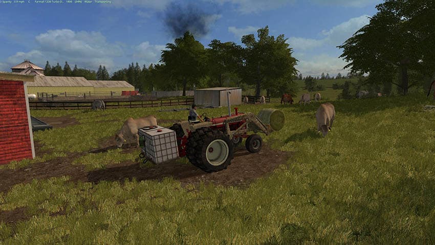 Breeding Cows