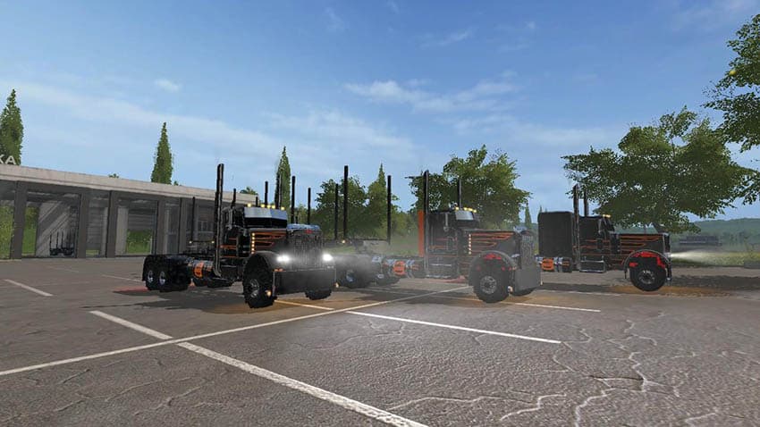 Cc Pete 379
