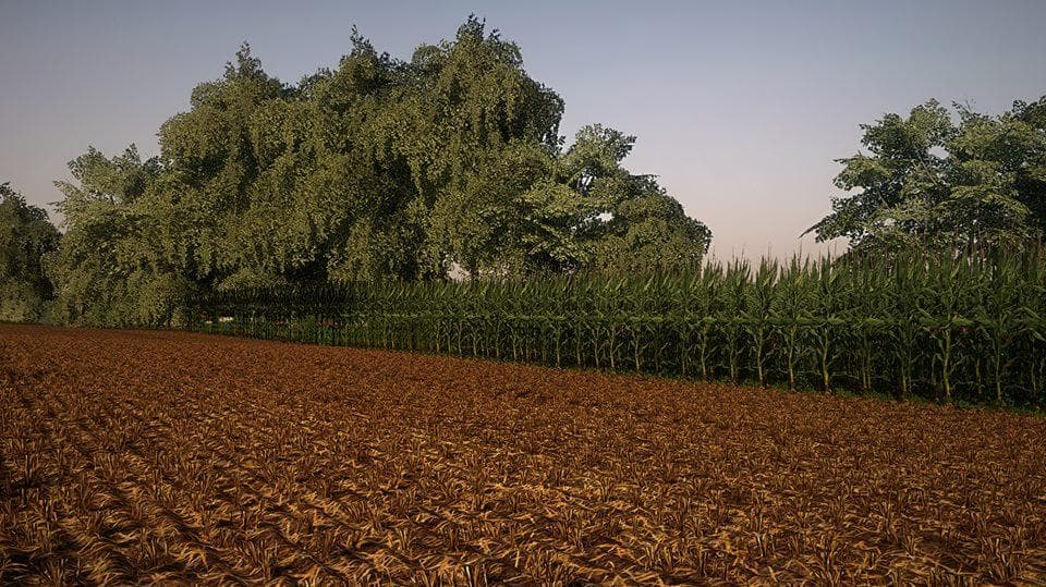 Corn and Soybean textures