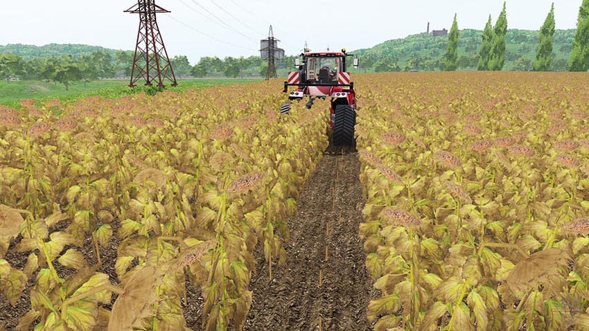 Crop destruction