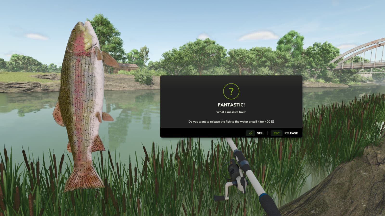 Fast Fishing