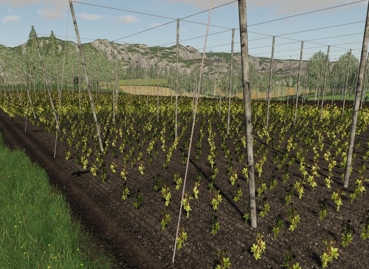Felsbrunn Multifruit Final