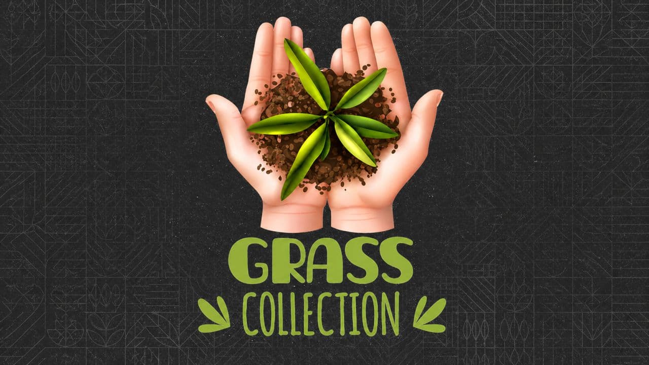 Grass Collection