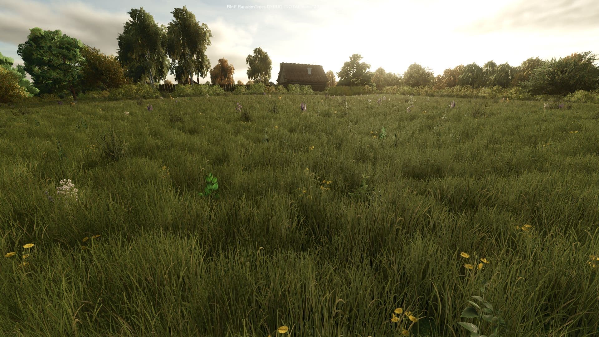 Growing Random Trees