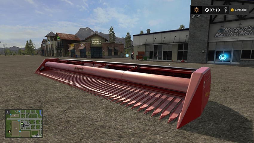 Helianthus 12000