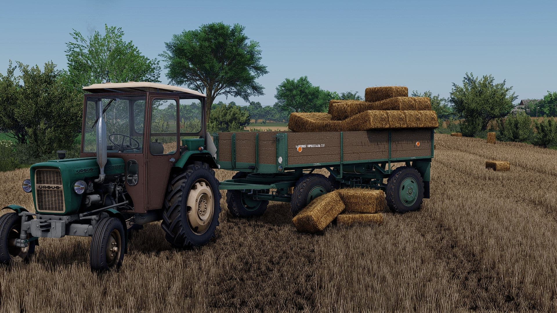 Lizard D44