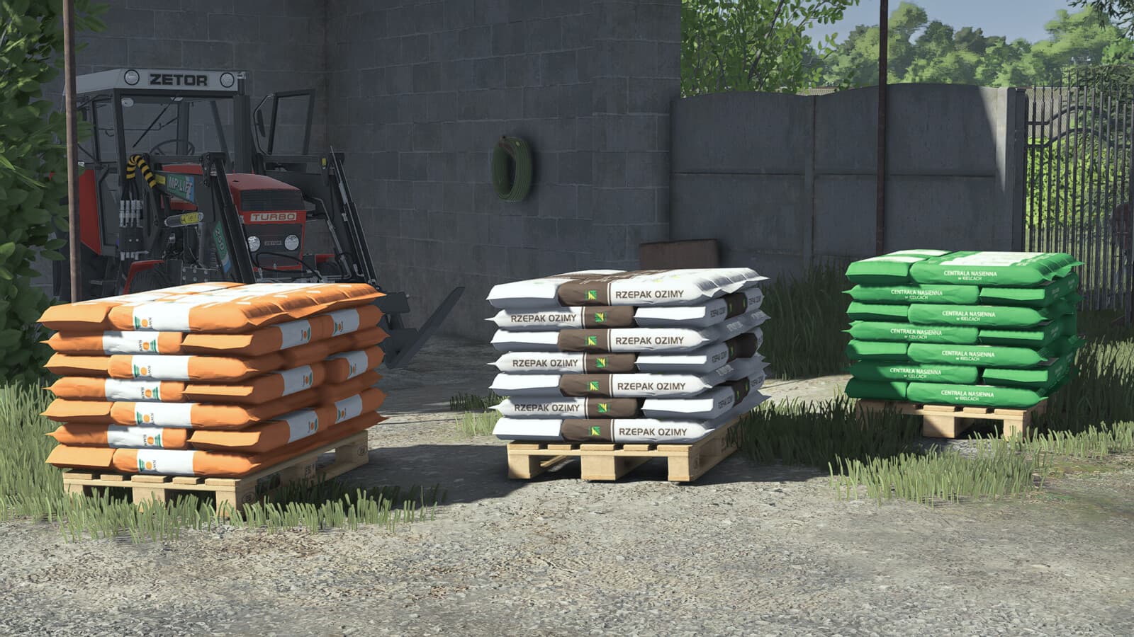 Polish Seeds Pack
