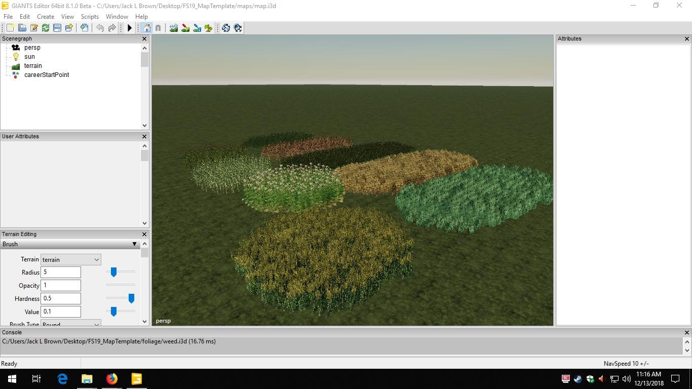 Rice Crop