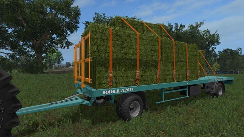 Rolland RP9006 LCH