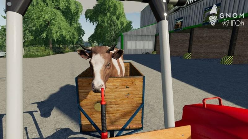 Small Animal Transporter